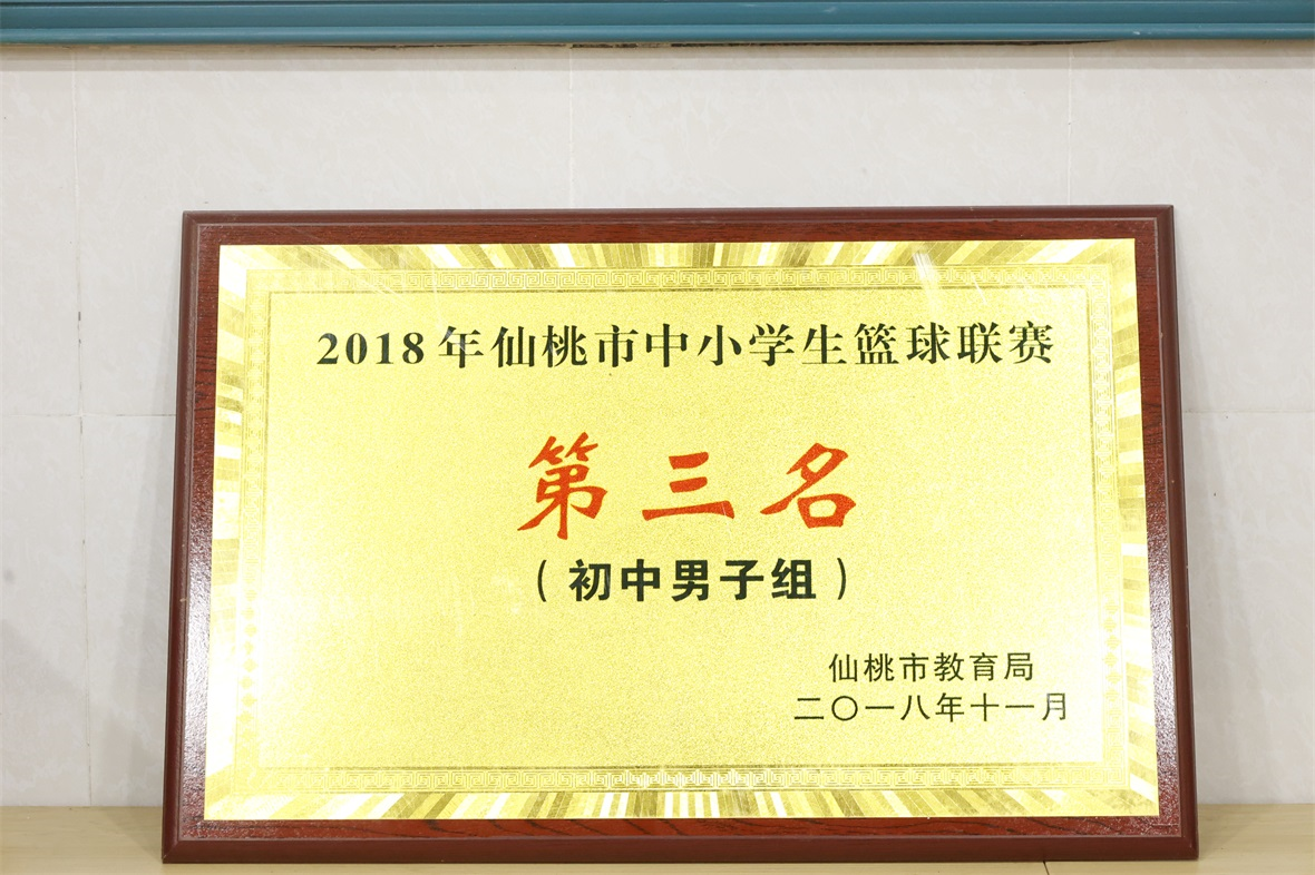 2018年仙桃市中小学生篮球联赛 第三名 (初中男子组)